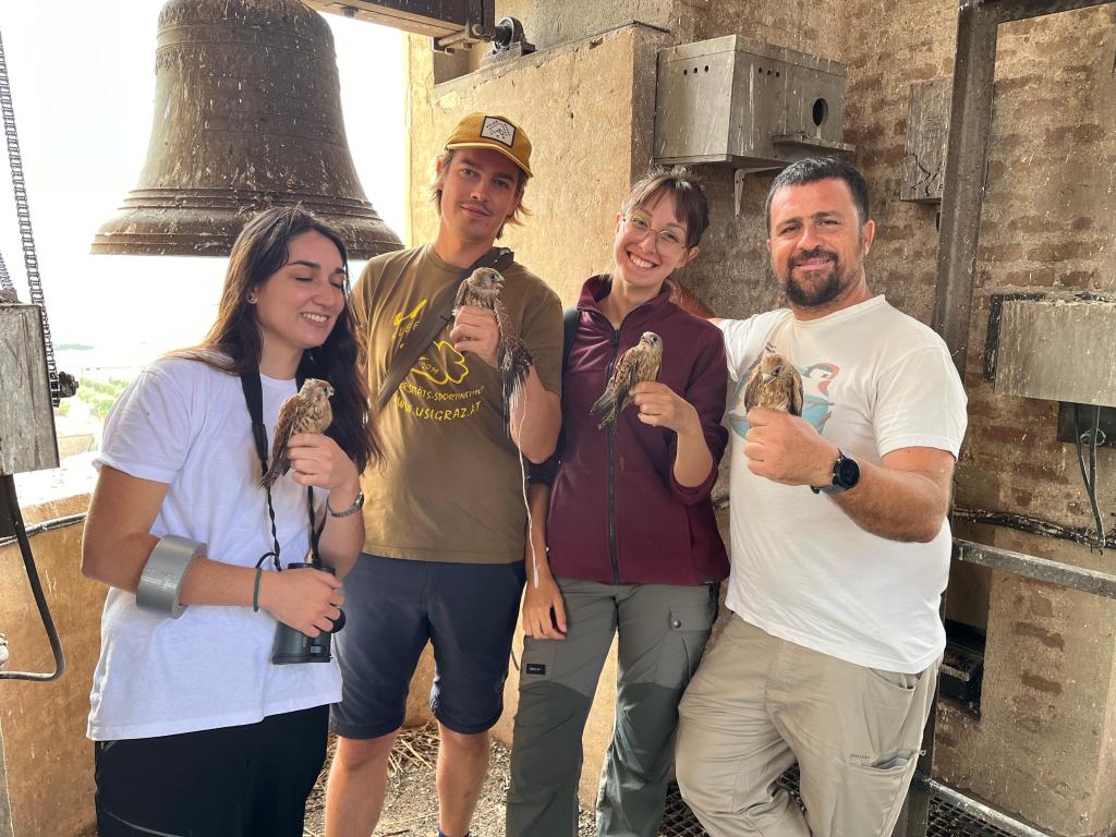 4 voluntäre halten jeweils einen Turmfalken in der hand