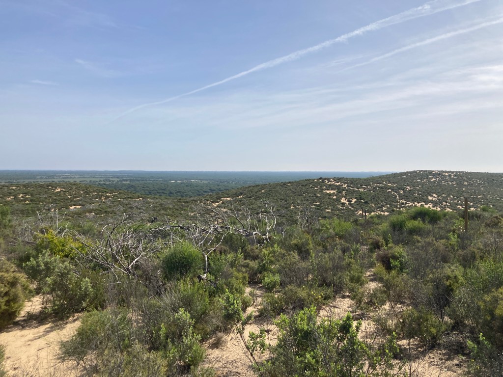 leichte Anhöhe und Übersicht auf Nationalpark
