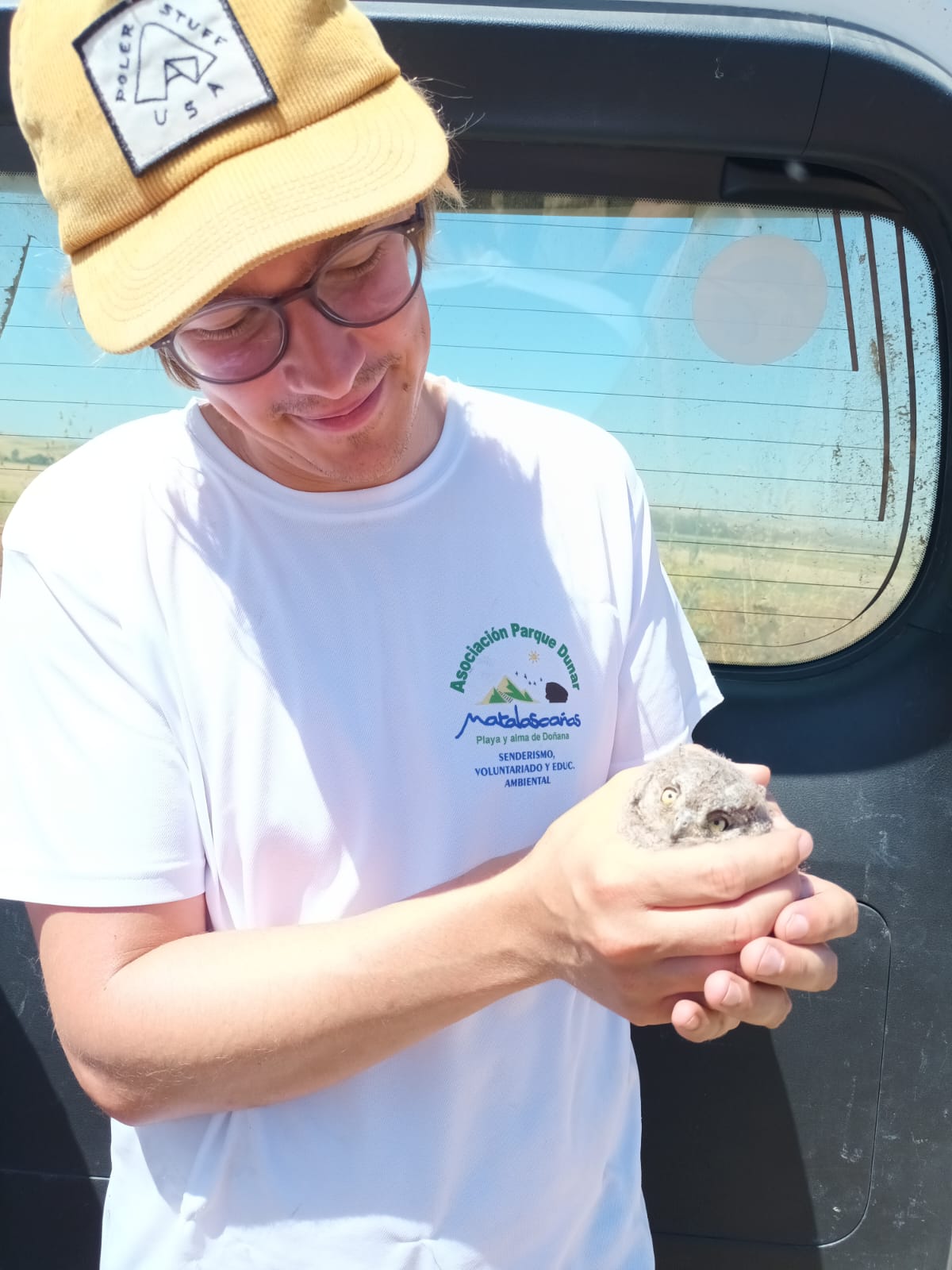 ein Mann der einen Zwergohreulen Jungvogel mit zwei Händen hält