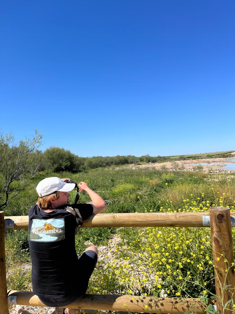 ich beim Vogel beobachten